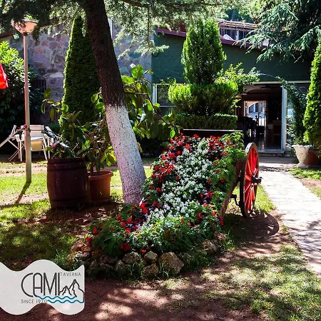 Hotel Cami-2
